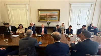 وزير المالية: أداء الاقتصاد المصرى جيد.. وسنحقق مستهدفاتنا رغم التحديات العالمية 