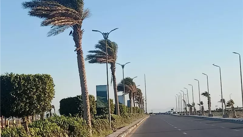 نشاط رياح 