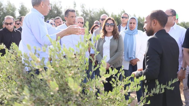 الجولة