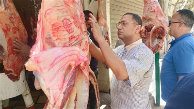تحرير 240 مخالفة خلال حملات رقابية مكثفة في المنيا