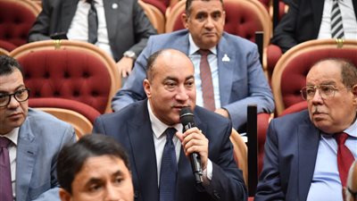 عمرو رشاد يطالب بتخفيض أسعار تذاكر مطار العلمين وإنشاء مدرسة فنية تابعة لمصر للطيران