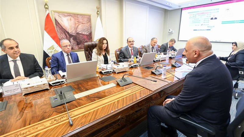 التنمية المحلية 