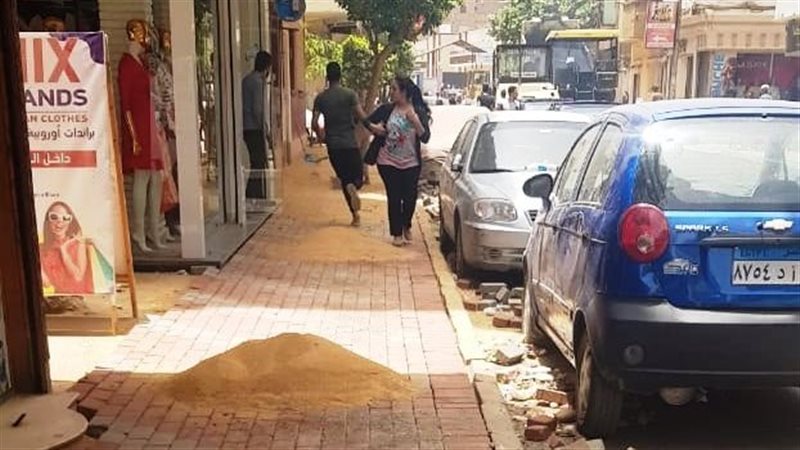 جانب من المشروع 