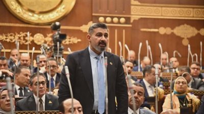 ياسر جلال: خطة التنمية طموحة لكن الثقافة والإعلام بحاجة لدعم أكبر