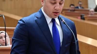  صناعة النواب: التحركات المصرية بالتنسيق مع قطر والشركاء تمثل ركيزة أساسية لتحقيق التهدئة