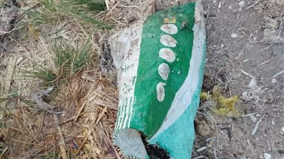  أهالي القلمينا يطالبون بمحاسبة المتسببين في إلقاء مخلفات المطاعم بالطريق العام