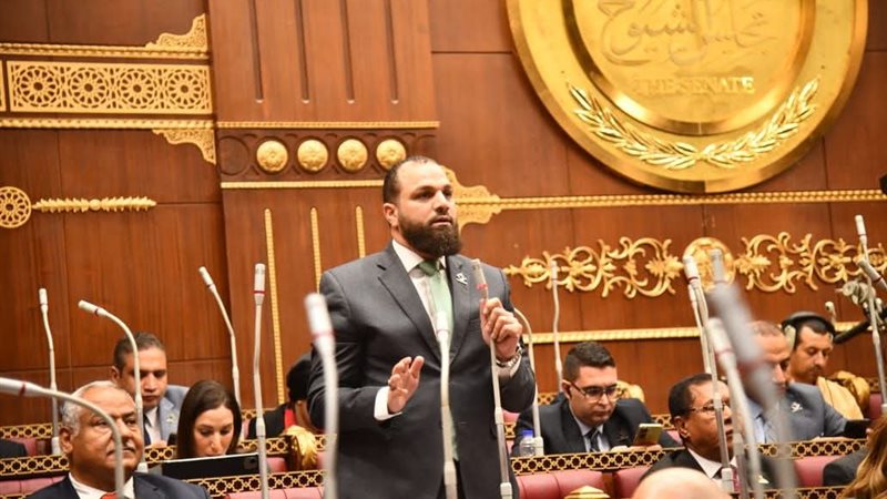 النائب محمود التركي