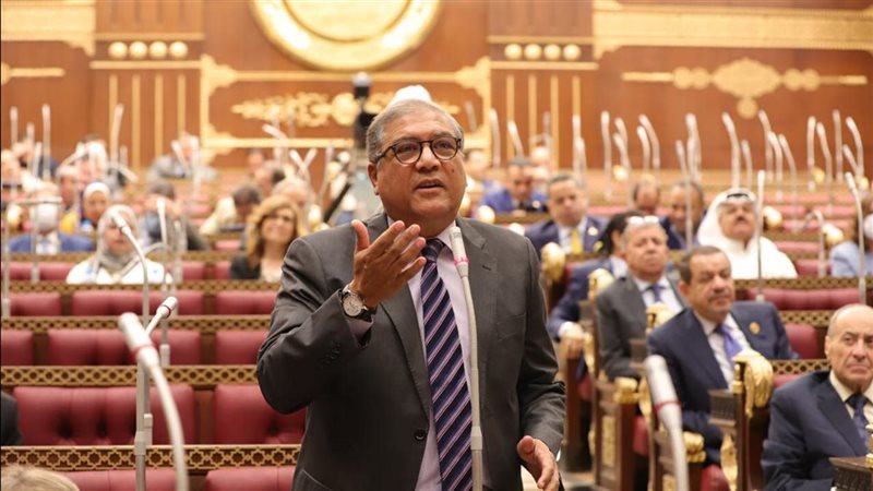 عفت السادات