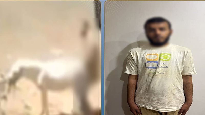 المتهم 