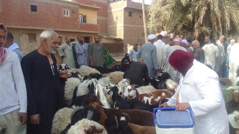  الهيئة العامة للخدمات البيطرية