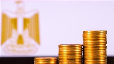 96 مليار جنيه في عام واحد.. برلمانية تفجر مفاجأة عن ديون المصريين لشركات التمويل