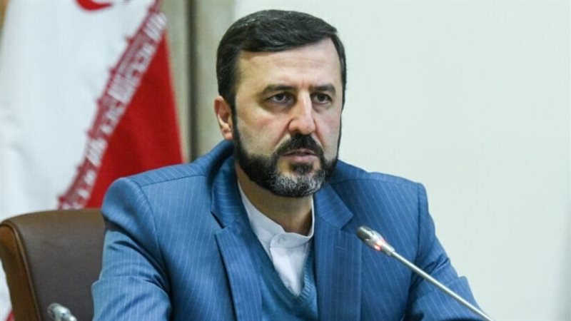 مساعد وزير الخارجية الإيراني للشؤون القانونية والدولية