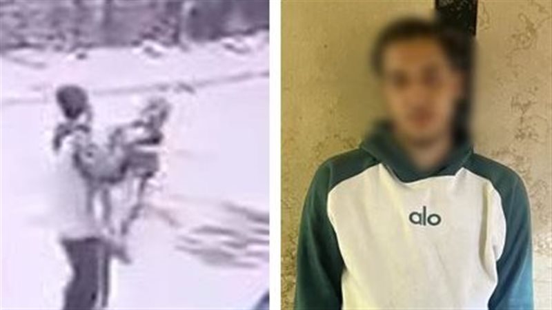 المتهم 