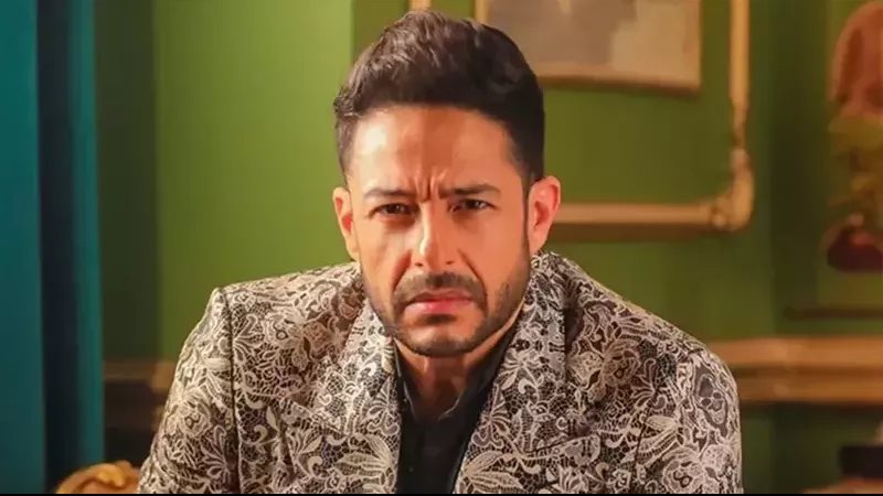 حماقي