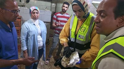 سلامة الغذاء تنفذ حملة رقابية موسعة بمدينة الخصوص وتضبط أغذية غير مطابقة للاشتراطات