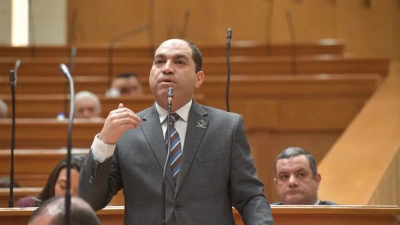 النائب عمرو درويش 