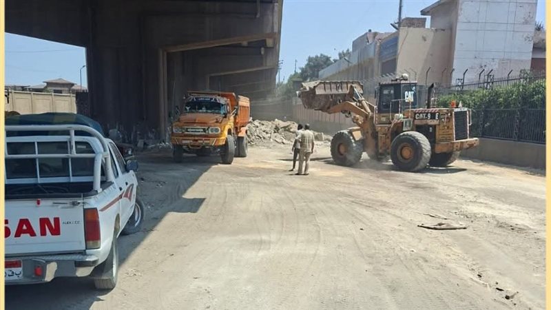 الإسكندرية 