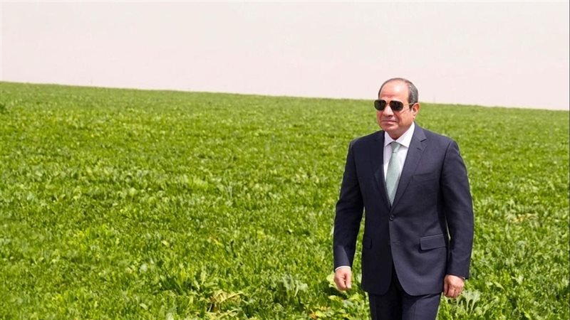 الرئيس السيسي