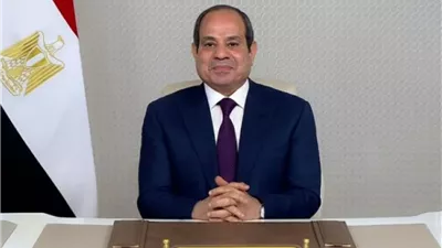 بـ300 ألف دينار كويتي.. دراسة لتعزيز الربط الكهربائي بين مصر والأردن