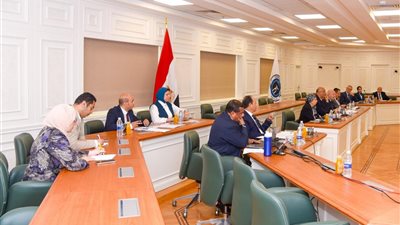 مجلس أمناء جامعة الإسكندرية الأهلية يقر إنشاء برنامج علوم التمريض