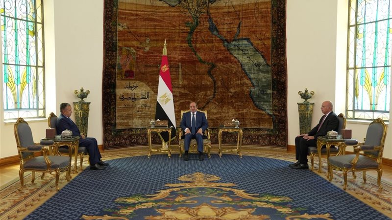 نبيل فهمي