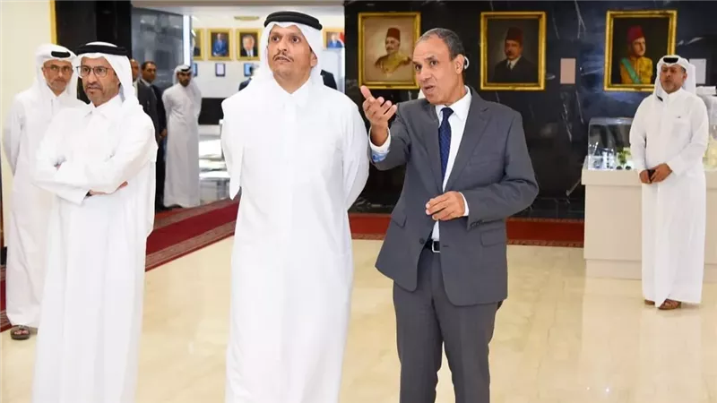 تنسيق مصري قطري