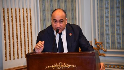 عمرو رشاد يطالب بإنشاء مستشفى حكومي لمليوني مواطن بأرض اللواء والصفطاوي والمحور