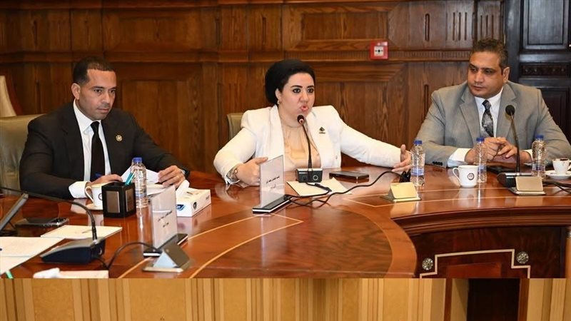  لجنة الطاقة والبيئة والقوى العاملة 