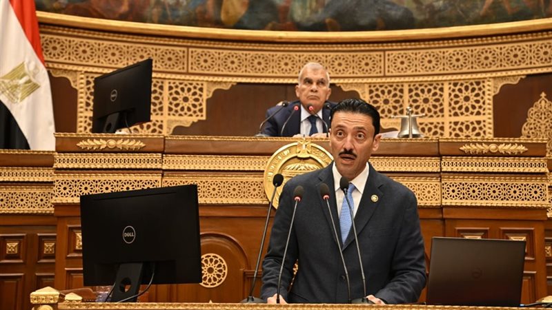 النائب محمد رزق خلال عرض طلب المناقشة
