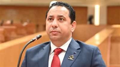 برلماني: زيادة موارد الدولة يجب أن تنعكس على تحسين الخدمات