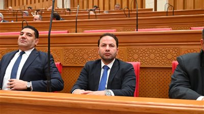 عضو بالشيوخ: تجديد قانون المنازعات الضريبية يدعم الممولين والاستثمار