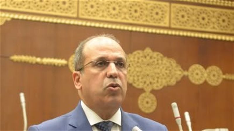  الدكتور محمد لطفي