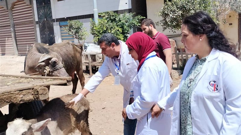 جانب من الحملة