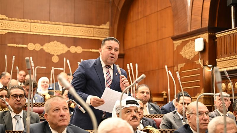 زاهر الشقنقيري