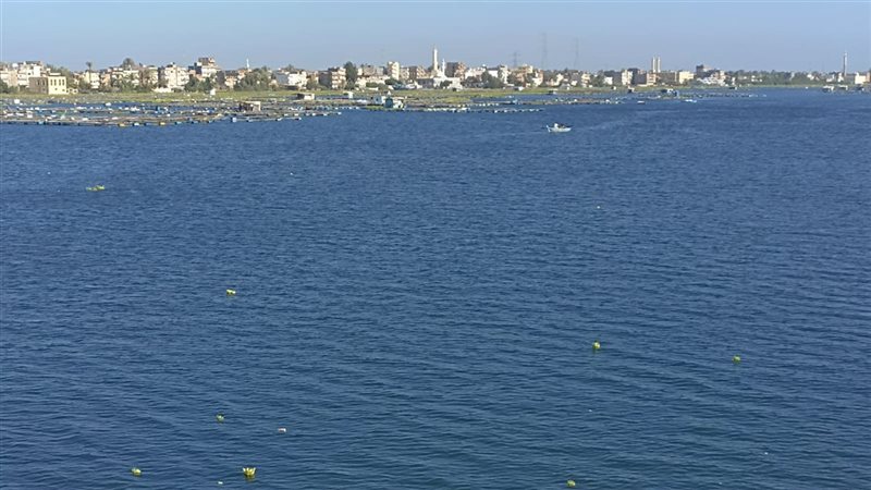 رأس البر