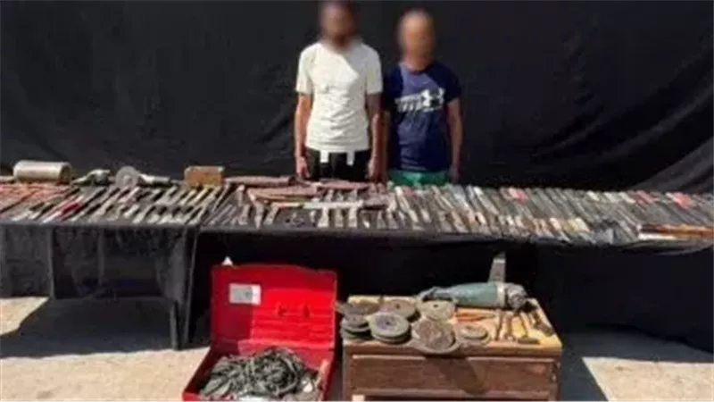 المضبوطات 