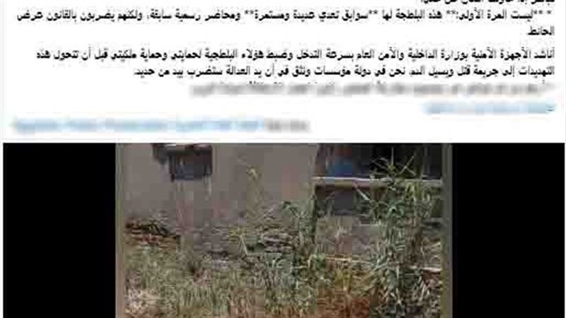 المنشور المتداول 