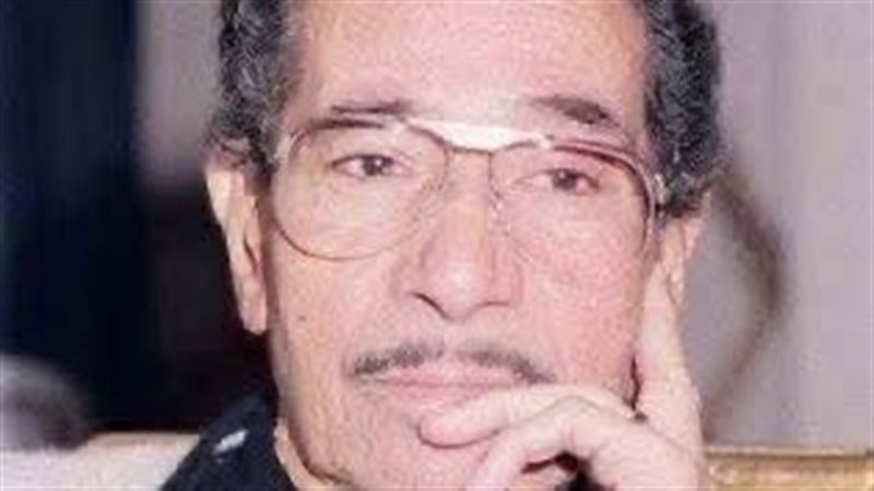محمد الموجى 
