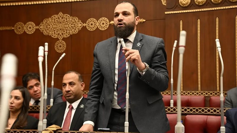 النائب محمود تركي، عضو مجلس الشيوخ 