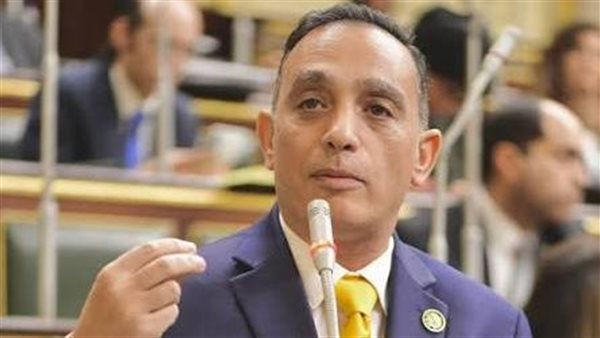 النائب فريدي البياضي، عضو مجلس النواب