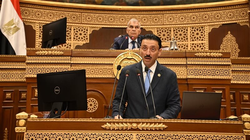 النائب محمد رزق عضو مجلس الشيوخ