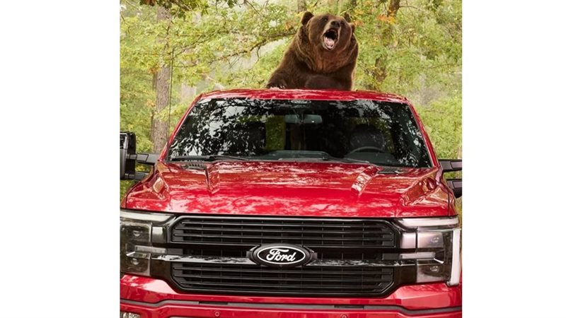  فورد تختبر نظام حماية F-150 أمام دب كودياك