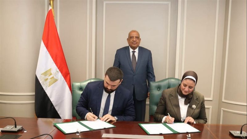 وزير الكهرباء
