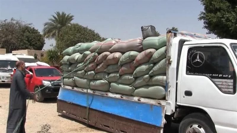 سوهاج 
