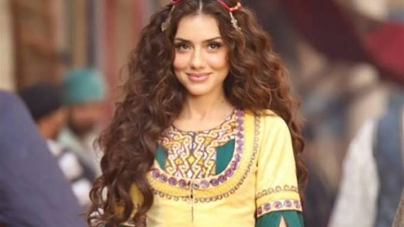 الفنانة جيهان الشماشرجي 
