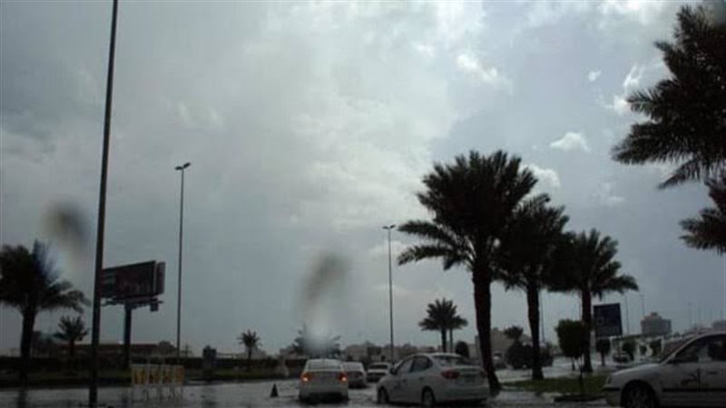 نشاط رياح 
