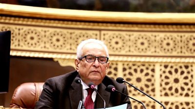 بهاء أبو شقة: 30 يونيو أنقذت الدولة ورسخت الاستقرار بقيادة الرئيس السيسي 