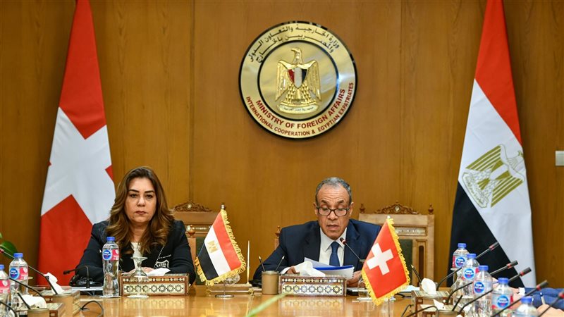 التنمية المحلية 