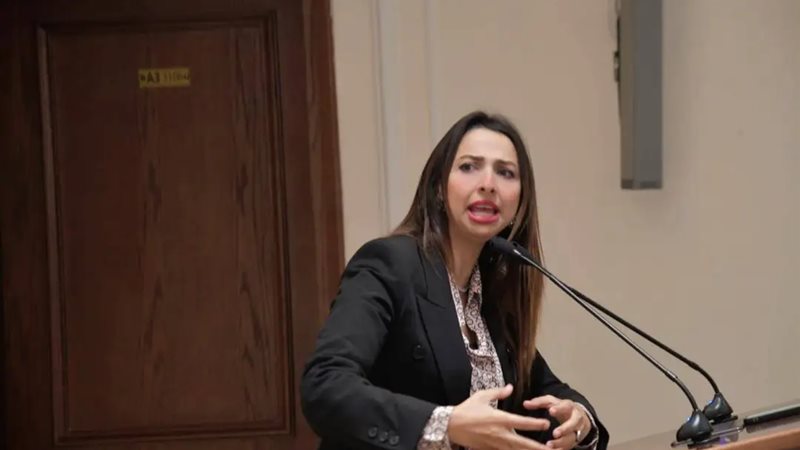 النائبة نشوي الشريف عضو مجلس النواب 