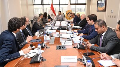 خطة لتركيب محطات بقدرة 1200 ميجاوات داخل 7020 مصنعًا ومنشأة صناعية